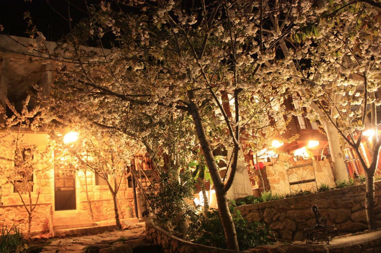 Zimer Al-Bayt Mas'ada 外观 照片